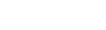 Logo wonder site